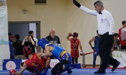 Sakarya'da Okullar Arası Wushu Sanda Türkiye Şampiyonası düzenlendi