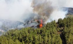Manisa'da 185 hektar alanın zarar gördüğü yangına ilişkin 2 kişi tutuklandı