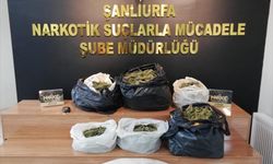 Şanlıurfa'da 9 kilo 500 gram esrar ele geçirildi