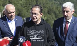 Tarım ilaçlarından zehirlenen kara akbaba, tedavisinin ardından doğaya salındı