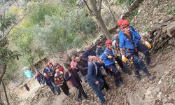Kahramanmaraş'ta zeytin toplarken uçuruma yuvarlanan kişi yaşamını yitirdi