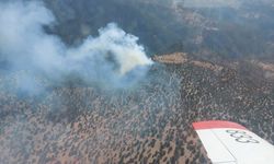 Adana'da çıkan orman yangınına müdahale ediliyor