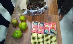 Konya'da meyvelerin arasına gizlenmiş 200 tabanca mermisi ekiplerce ele geçirildi