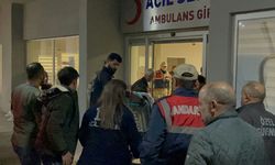 Erzincan'da "hayvan otlatma" kavgası: 1 kişi silahla vuruldu