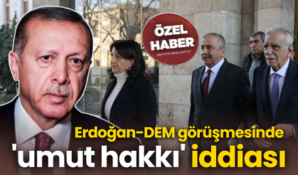 Erdoğan-DEM görüşmesinde 'umut hakkı' iddiası
