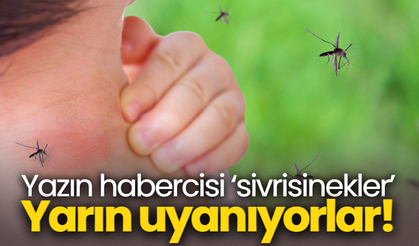 Yazın habercisi ‘sivrisinekler’ Yarın uyanıyorlar!
