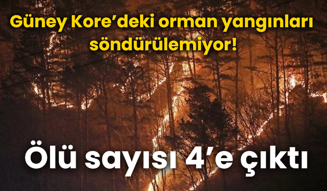 Güney Kore’deki orman yangınları söndürülemiyor! Ölü sayısı 4’e çıktı