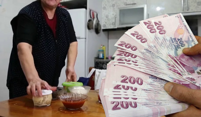 Üçte biri devletten! Ev hanımlarına emeklilik hakkı geliyor...