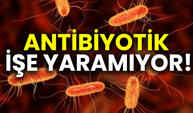 Bu bakteri ölümle tehdit ediyor