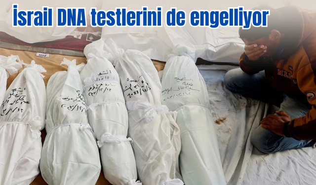 Şifa Hastanesi morgunda cesetler birikti
