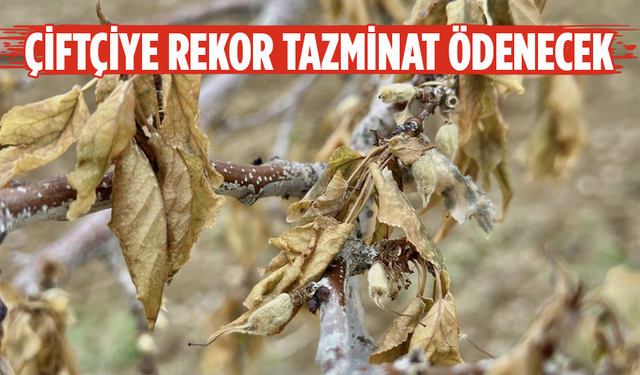 Don felaketinden etkilenen çiftçiler için neler yapılacak? Bakanlıktan beklenen açıklama geldi