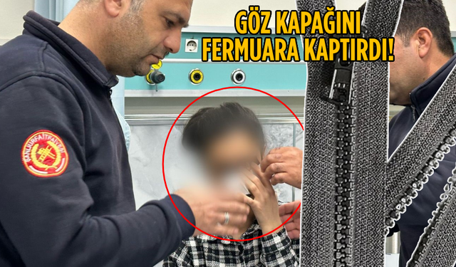 Şanlıurfa'da ilginç kaza