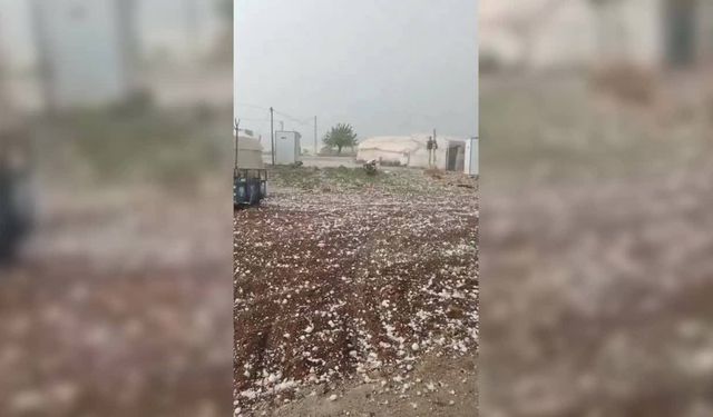 Urfa'da tarım alanlarını dolu vurdu