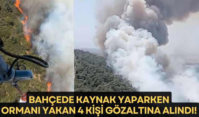 İzmir'de ormanlık alanda yangın!