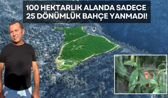 100 Hektarlık Alanda Sadece 25 Dönümlük Bahçe Yanmadı!