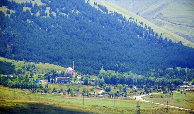 Erzurum'da Ormana Girişler Yasaklandı