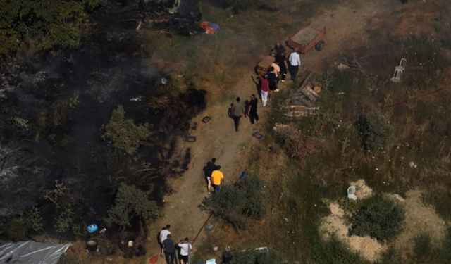 Yalova'da Arazi Yangını