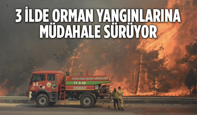 3 İlde Orman Yangınlarına Müdahale Sürüyor
