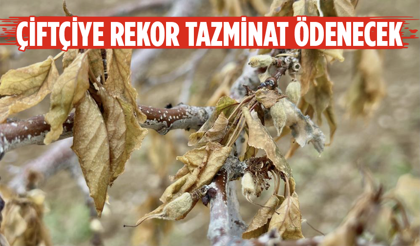 Don felaketinden etkilenen çiftçiler için neler yapılacak? Bakanlıktan beklenen açıklama geldi