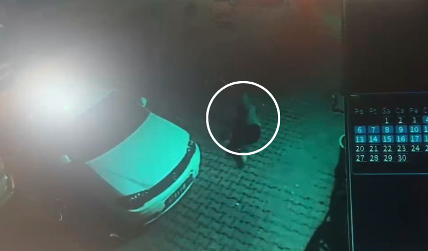 Esenyurt'ta genç kızın 4. kattan yere düşme anı!