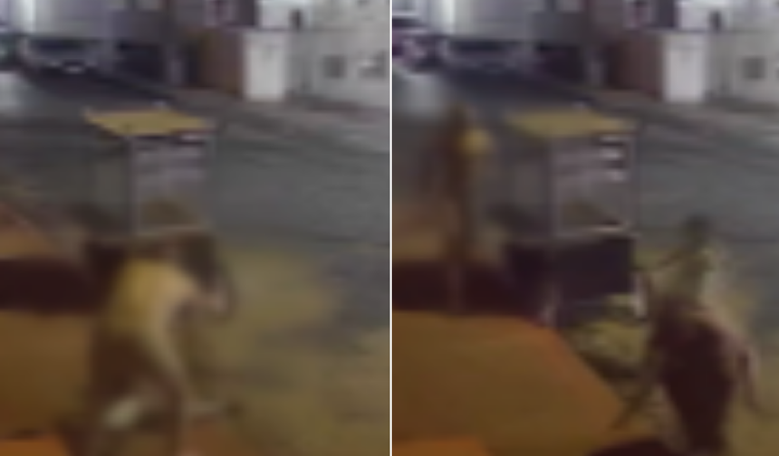 Manisa'da kan donduran olay! Karısını 8 yaşındaki kızının gözleri önünde öldürdü!