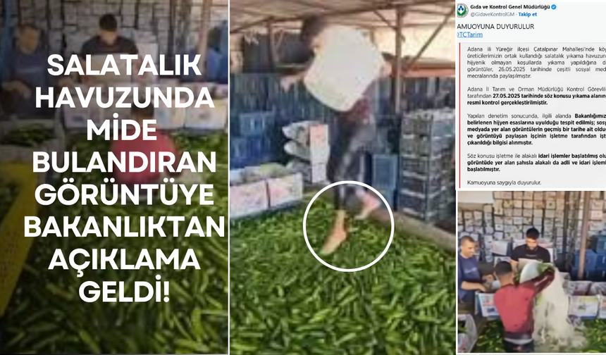 Salatalık havuzunda mide bulandıran görüntüye Bakanlıktan açıklama!