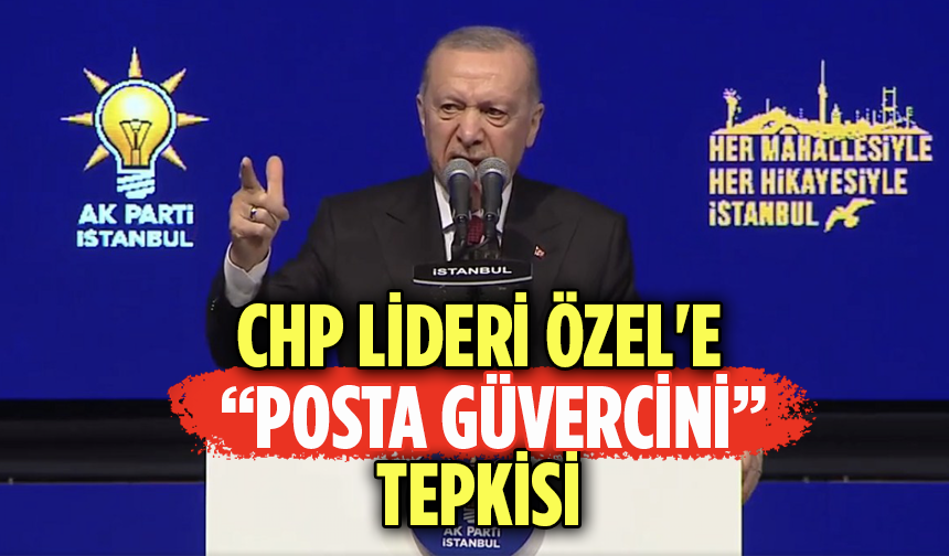 Cumhurbaşkanı Erdoğan: Ahtapotun kolları bir bir deşifre oluyor