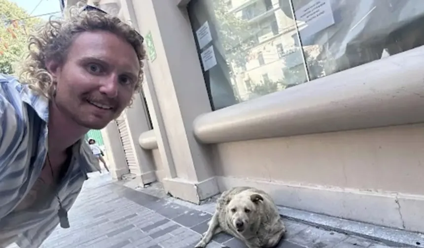Turistlerin yeni gözdesi o köpek oldu... Google haritalarda konumu bile var!