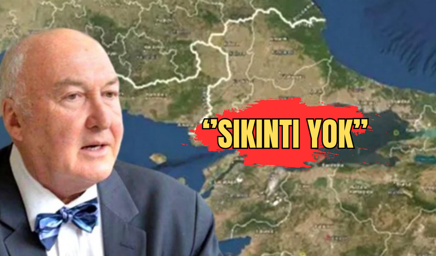 Ege'deki 5.2 büyüklüğündeki depremin ardından Ahmet Ercan'dan açıklama