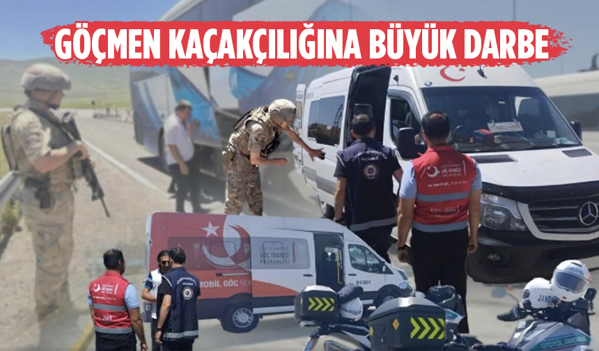 Kaçak göçmen operasyonu: 15 göçmen kaçakçısı ve 446 düzensiz göçmen yakalandı