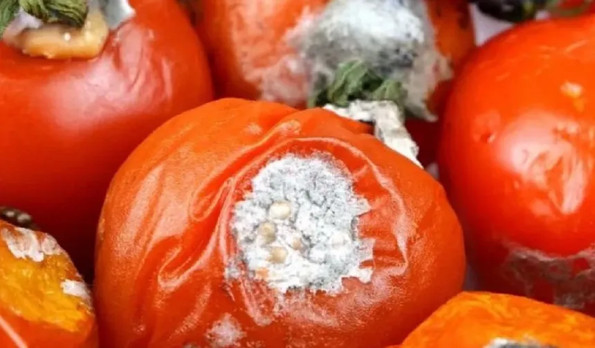 Çürümüş domatesleri çöpe atmayın! İşte evde değerlendirme yolları...