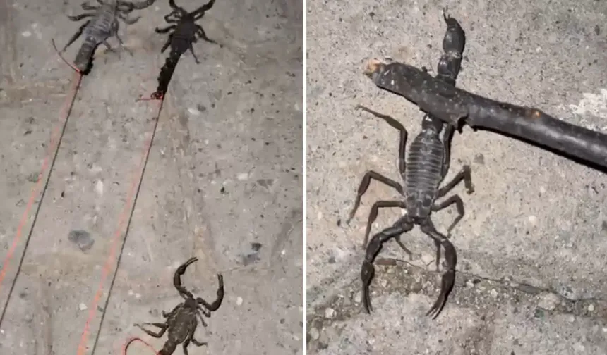 Her An Sokulabiliriz! Köylülerden Yetkililere Acil Yardım Çağrısı