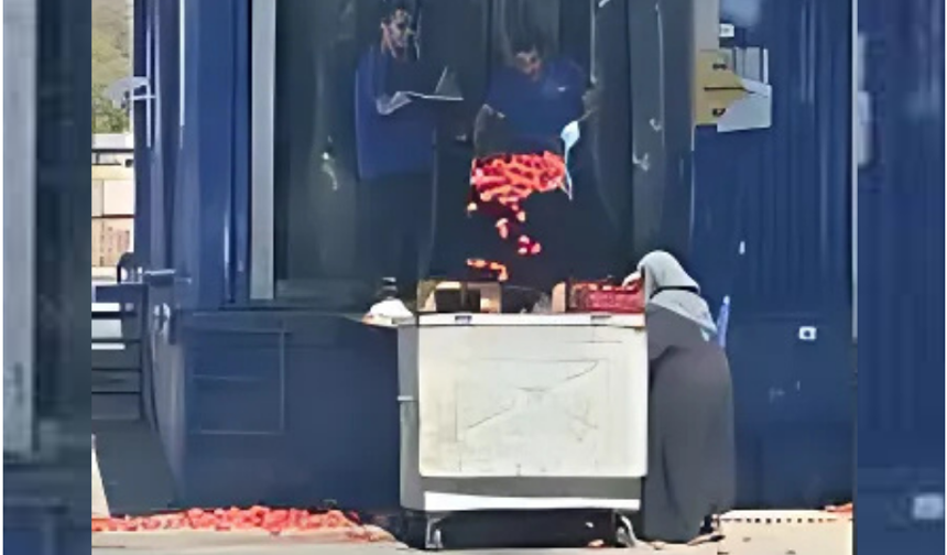 Zincir Market Çalışanları Domatesleri Çöpe Döktü, Yaşlı Kadın Topladı!