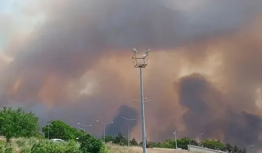 Çanakkale'deki Yangında Kundaklama Şüphesi! Siyah Tempra Her Yerde Aranıyor