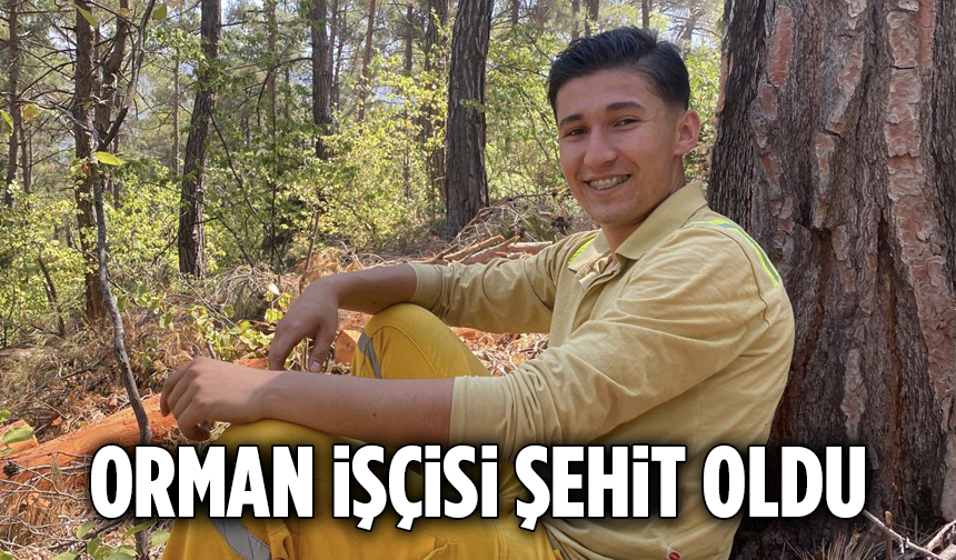 Osmaniye'de 1 Orman İşçisi Şehit Oldu