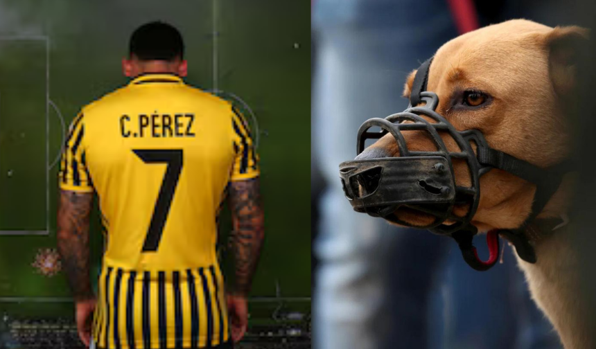Futbol Dünyasında Sıra Dışı Olay: Ünlü Yıldızın Cinsel Organını Köpek Isırdı