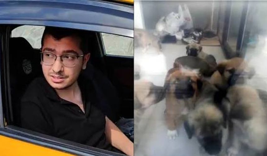 Köpekleri Katleden Doktora  'Sabıkası Yok' İndirimi!