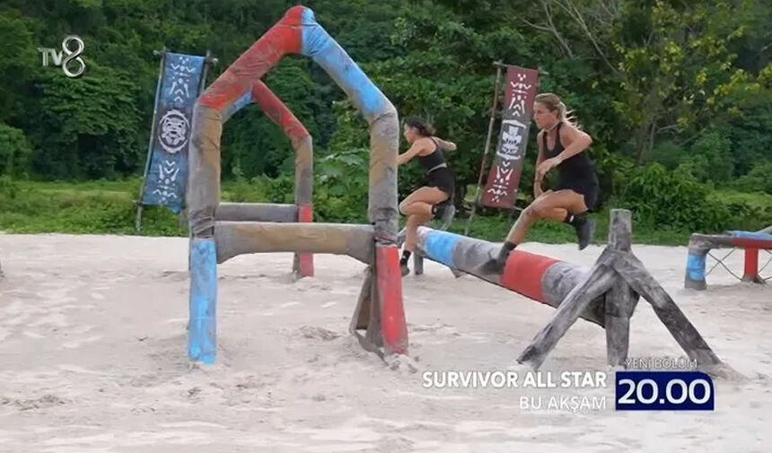Survivor2
