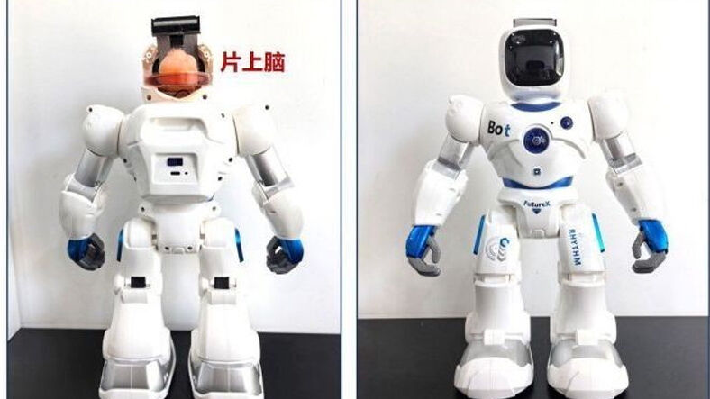 İnsan Beyni Ile Kontrol Edilen Robot