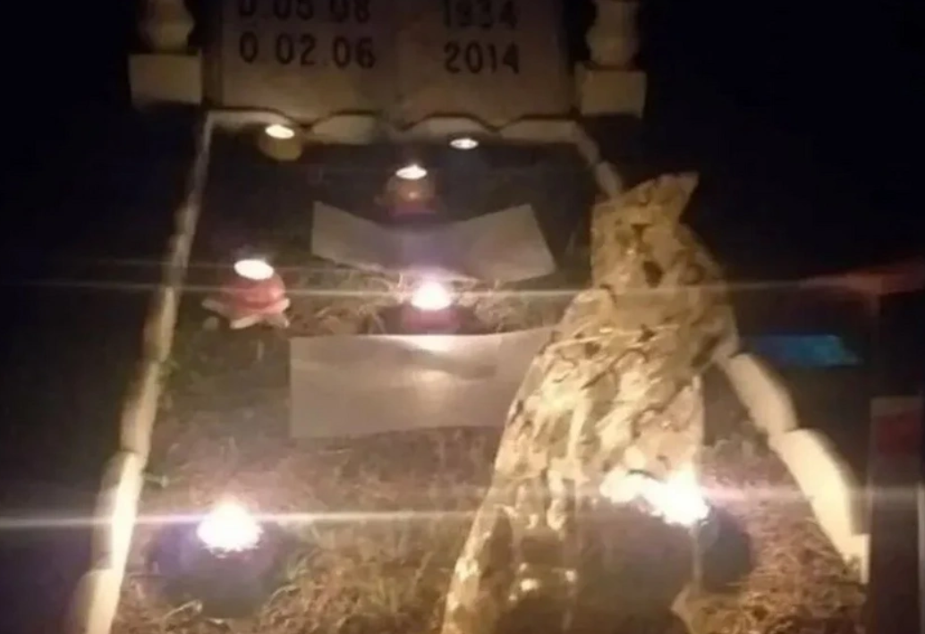 Ekran Görüntüsü 2025 01 06 162530