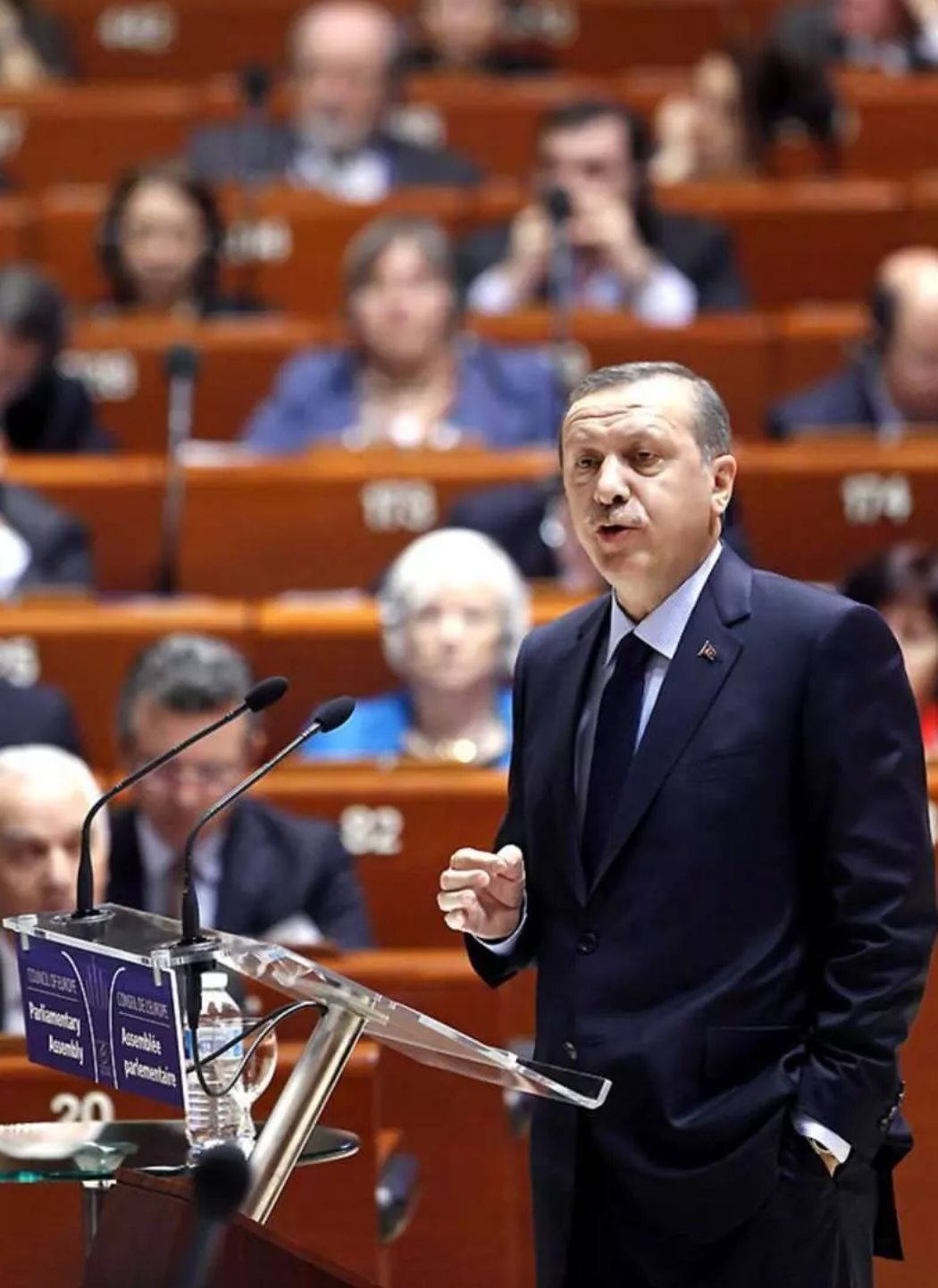 Erdoğan A P