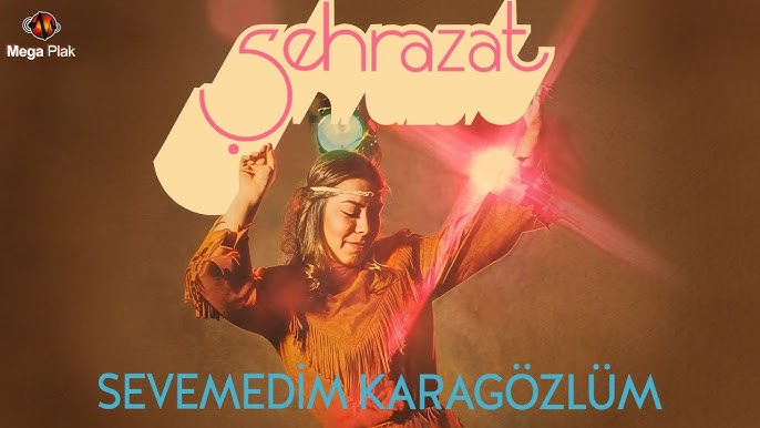 Sirri Süreyya’nin Sirri Ve 45 Yil Sonra Gelen Bi̇r Maxi̇ Si̇ngle 6