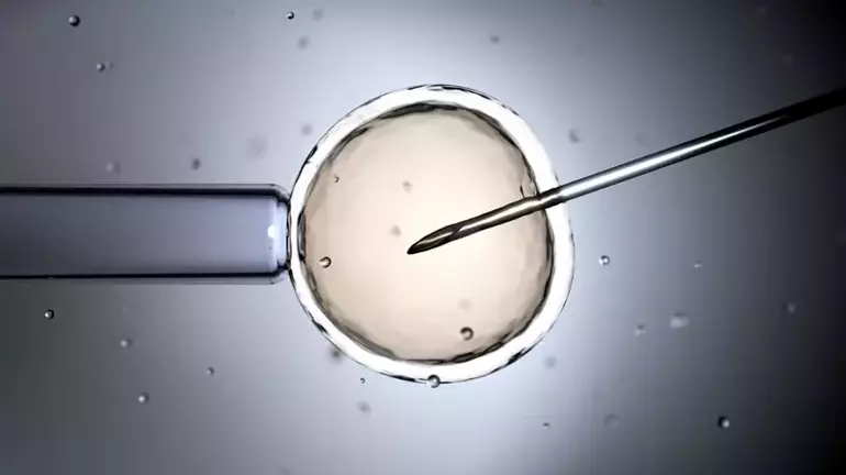 31 Yaşındaki Bebek