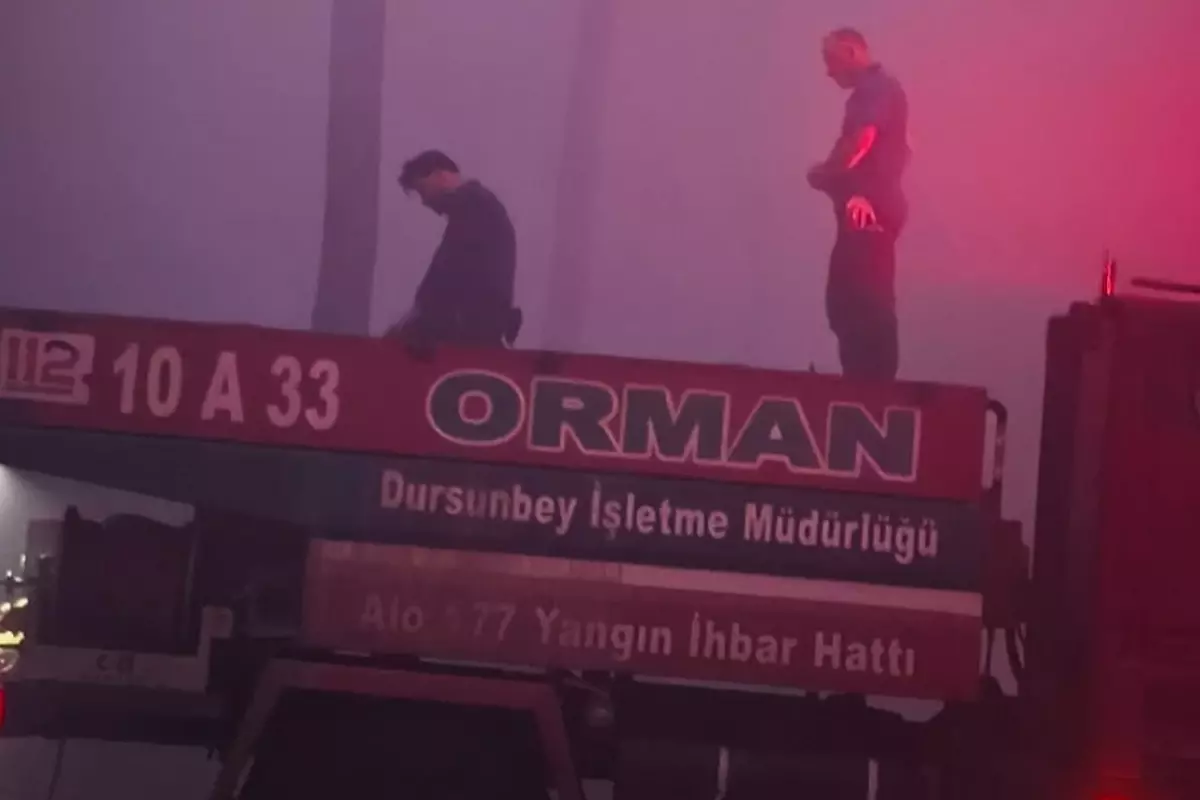 bursa orman yangını 5