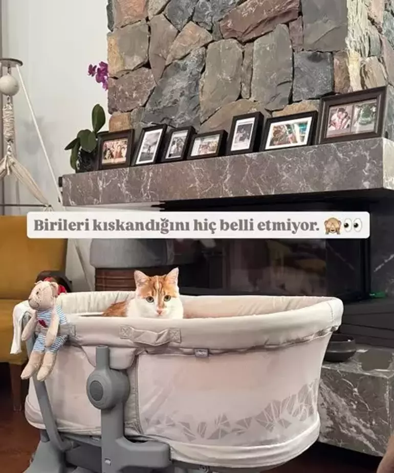 Gizem Karaca Kedisi