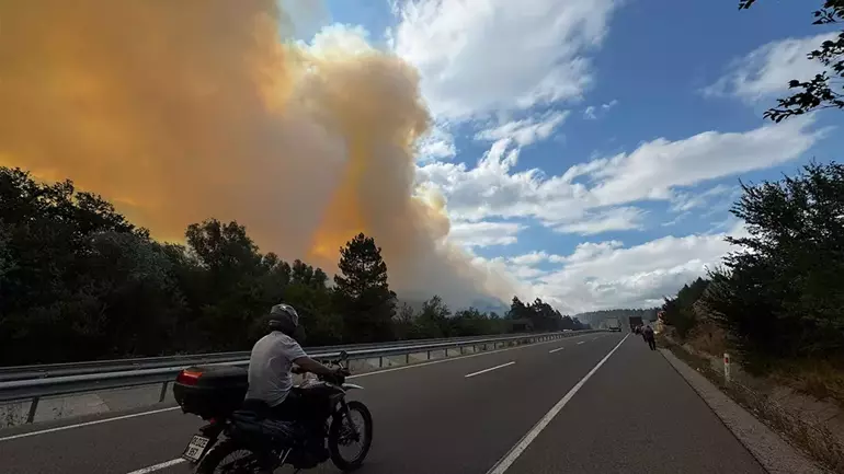 Bursa Orman Yangını 1