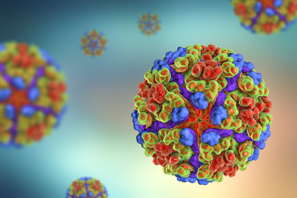 Chikungunya Virüsü 2