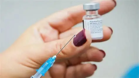 Chikungunya Virüsü Aşı
