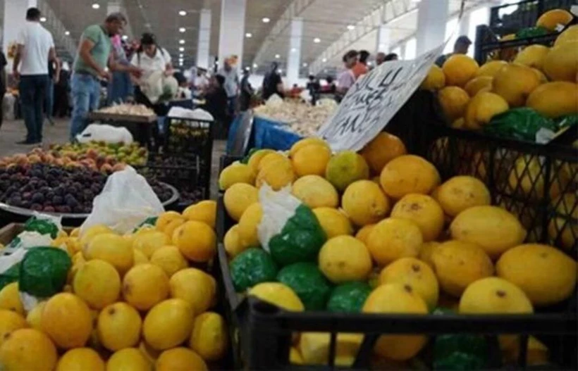 Limon 6