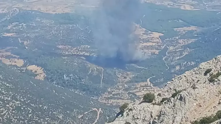 Muğla Orman Yangını-1